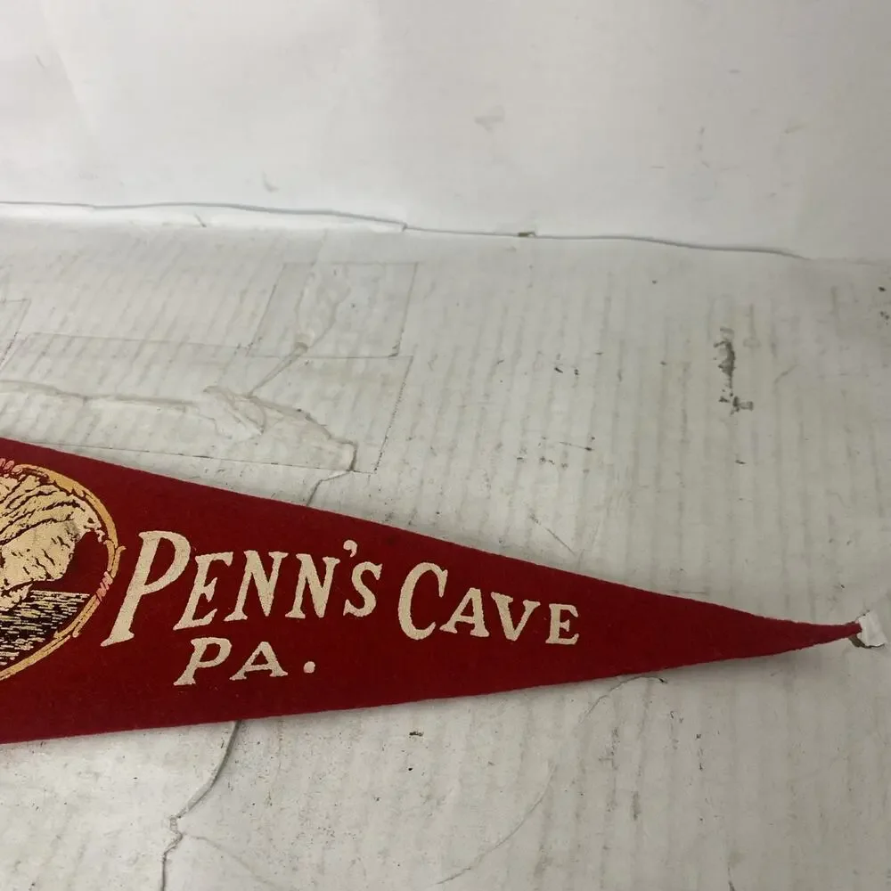 Vintage 1960s Penn's Cave Pennsylvania Souvenir Felt Pennant 12” - Picture 3 of 4